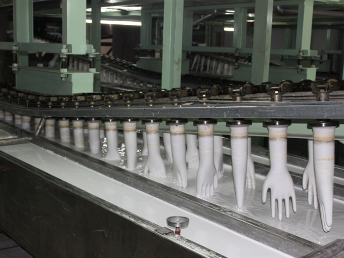 About SAFINA GLOVE CO., LTD. A Nitrile & Latex Disposable Glove