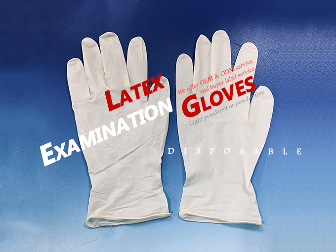 SAFINA GLOVE (GLOVE ASIA) | Dispoable Latex Examination Gloves - white blue